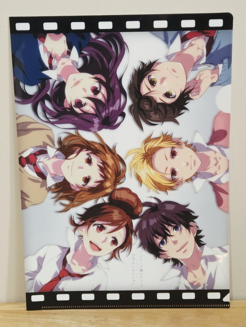 *4 for $20* HoneyWorks Our Love Has Been 10 Centimeters Apart A4 Clear File